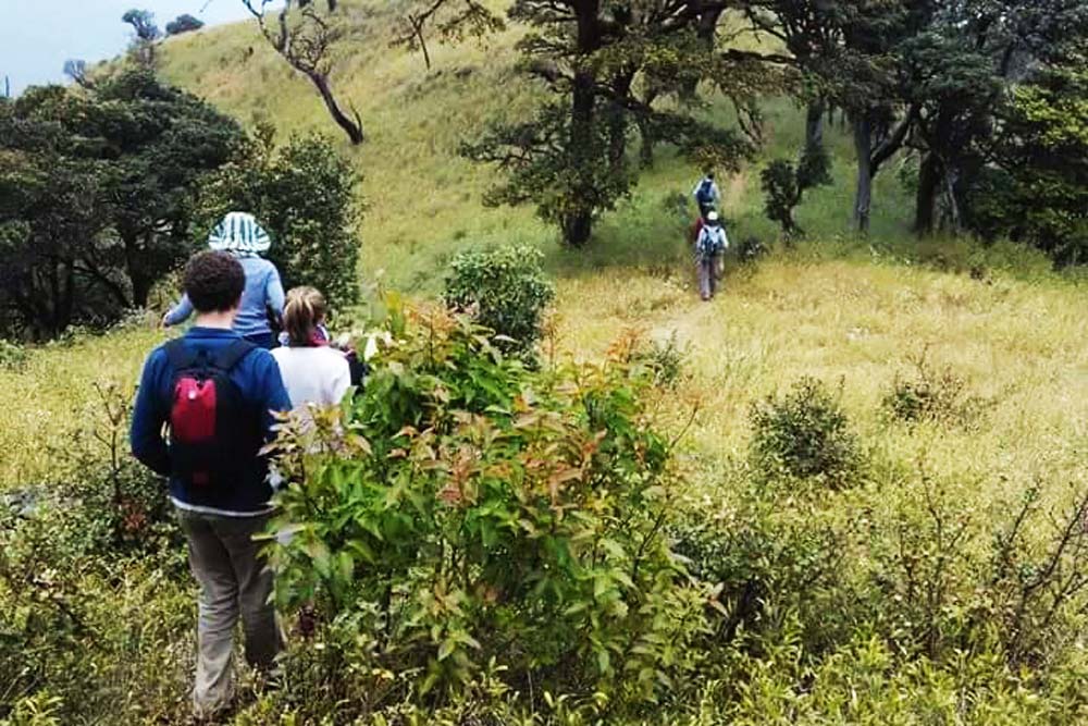 Chit Kyaung Valley & Hunters Waterfalls 4 Days